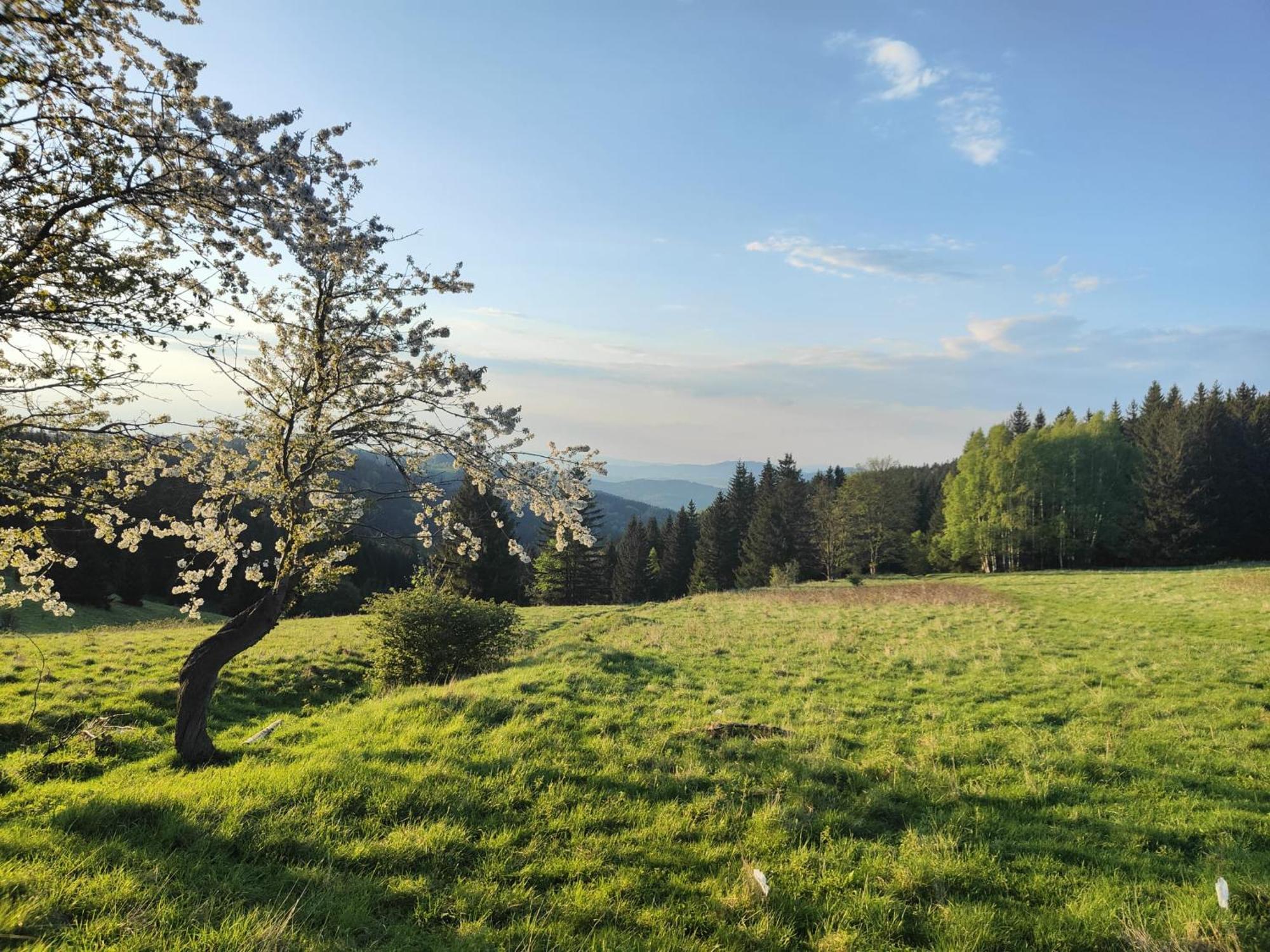 Bed & Breakfast Pod Janowcem Sport - Rest & Stronie Slaskie